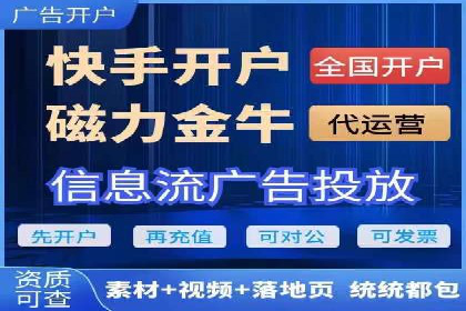 SEM运营策略案例分析